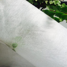 30gsm Water Soluble Non Woven Fabric / Dissolving Embroidery Fabric For Textile Lace Backing